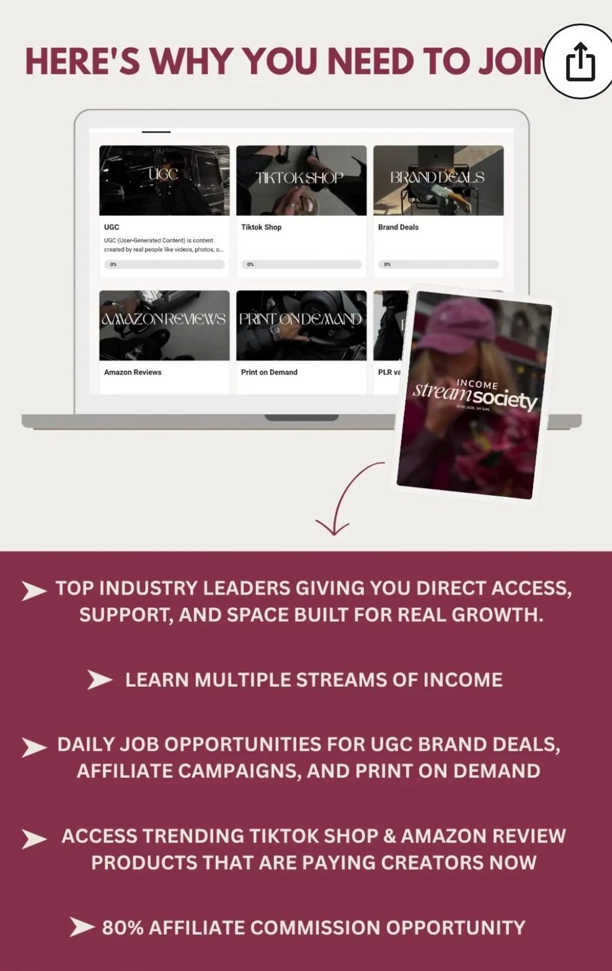 Income Stream Society: Full Digital Marketing Course/ MMR (Master Resell Rights)