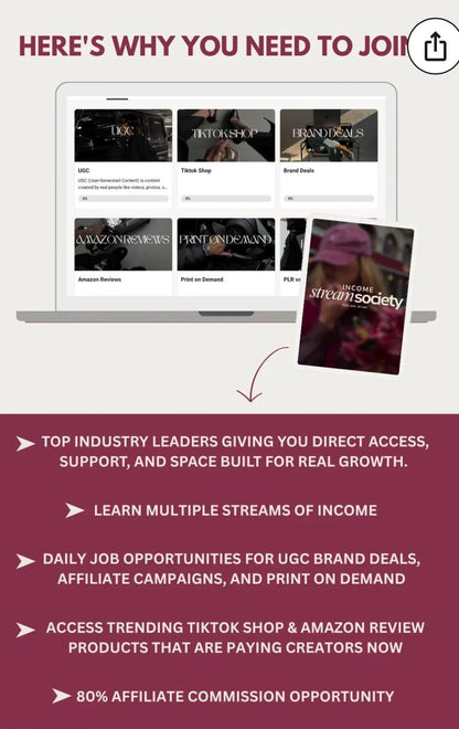 Income Stream Society: Full Digital Marketing Course/ MMR (Master Resell Rights)